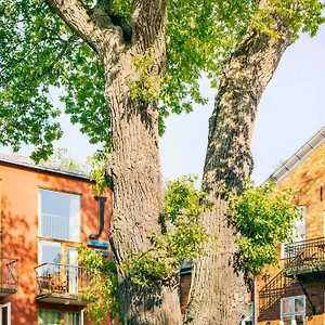 J, Stockholm, A Member Of Design Suède